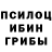 Псилоцибиновые грибы Cubensis Deniss Maltsev