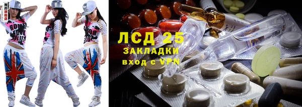 ПСИЛОЦИБИНОВЫЕ ГРИБЫ Алексеевка